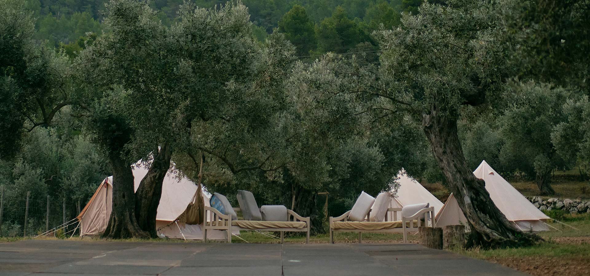 camping-tents-in-grove-of-mountainous-valley-9439RFK.jpg